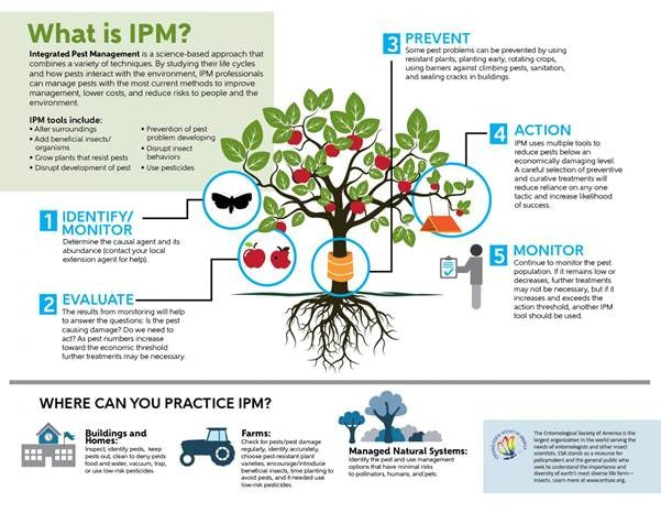 Definition of IPM
