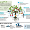 Definition of IPM